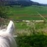Reitanlage-2014_3