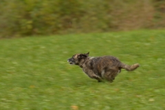 DSC_0274_v1