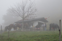 Fuchsjagd-RVS-2011-002