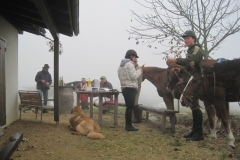 Fuchsjagd-RVS-2011-003