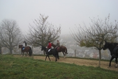 Fuchsjagd-RVS-2011-010