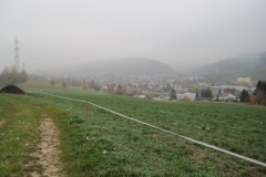Fuchsjagd-RVS-2011-035