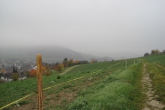 Fuchsjagd-RVS-2011-036