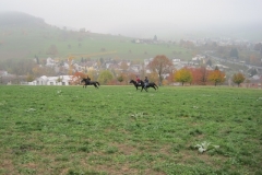 Fuchsjagd-RVS-2011-046