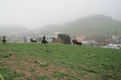 Fuchsjagd-RVS-2011-047