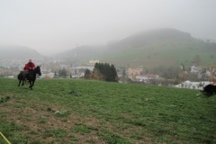 Fuchsjagd-RVS-2011-049