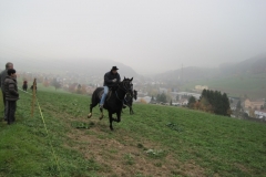Fuchsjagd-RVS-2011-053