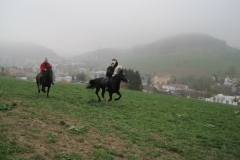 Fuchsjagd-RVS-2011-054