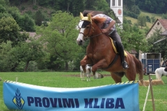 DSCN1478