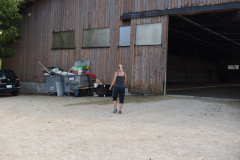 DSC_0381