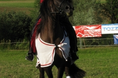 Ferien-mit-Omi-und-Opi-Sommer-2012-006