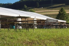 k-P6236314