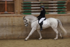 SONY DSC